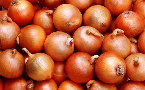 Onions